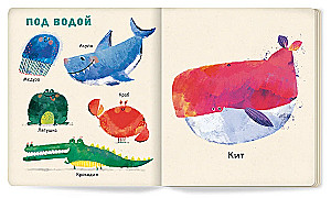 Мои первые животные