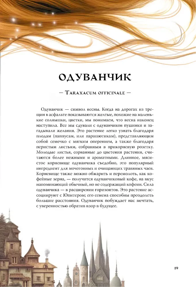Ведьмы и травы. Магические практики, припарки и прорицания