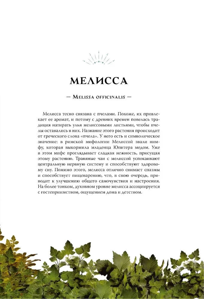 Ведьмы и травы. Магические практики, припарки и прорицания