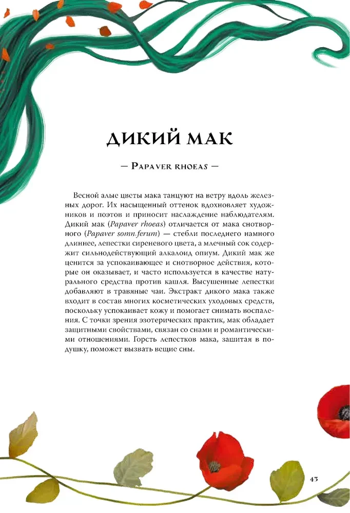 Ведьмы и травы. Магические практики, припарки и прорицания