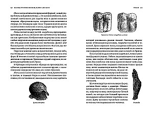 Ilustrētā ieroču vēsture. No senākajiem laikiem līdz XIX gadsimta sākumam