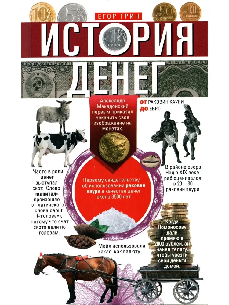 История денег. От раковин каури до евро