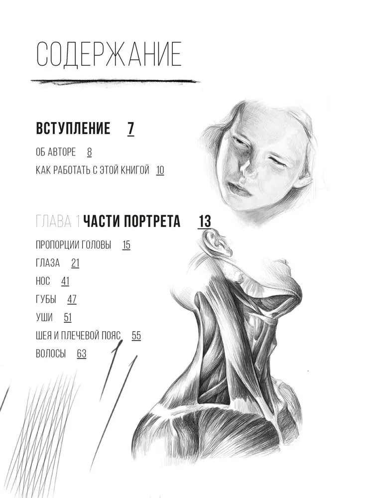Рисунок карандашом от А до Я. Портрет карандашом