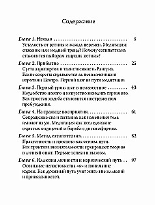 Satipatthāna: Apzināšanās pieredze