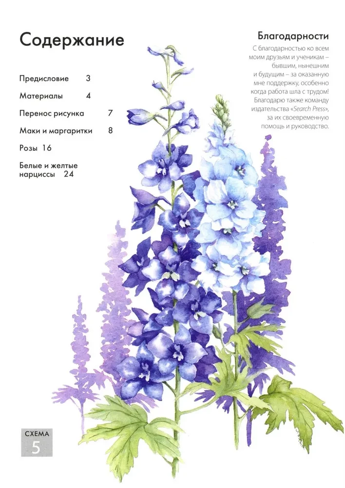 Mape ar akvareļu papīru Burvīgie ziedi. Uzzīmē ar akvareli + Brošūra (violets komplekts)