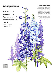 Mape ar akvareļu papīru Burvīgie ziedi. Uzzīmē ar akvareli + Brošūra (violets komplekts)