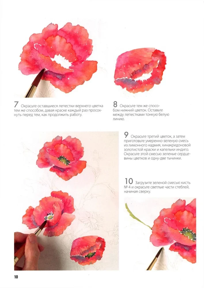 Mape ar akvareļu papīru Burvīgie ziedi. Uzzīmē ar akvareli + Brošūra (violets komplekts)