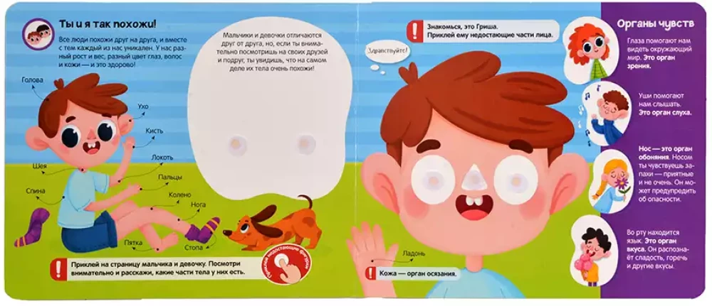 Grāmata ar lipīgām bildēm. Mans ķermenis