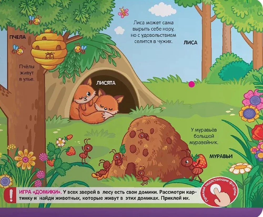 Grāmata ar lipīgām bildēm. Meža dzīvnieki