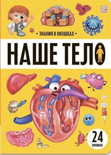 Знания в окошках. Наше тело