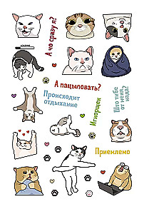 Uzlīmes Kaķu memi. Aizraujoši memu uzlīmes kaķu mīļotājiem (tirkīza vāks)