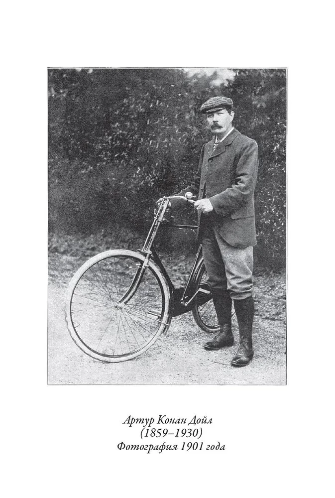 Baskervilu suns