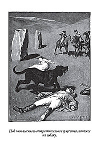 Baskervilu suns