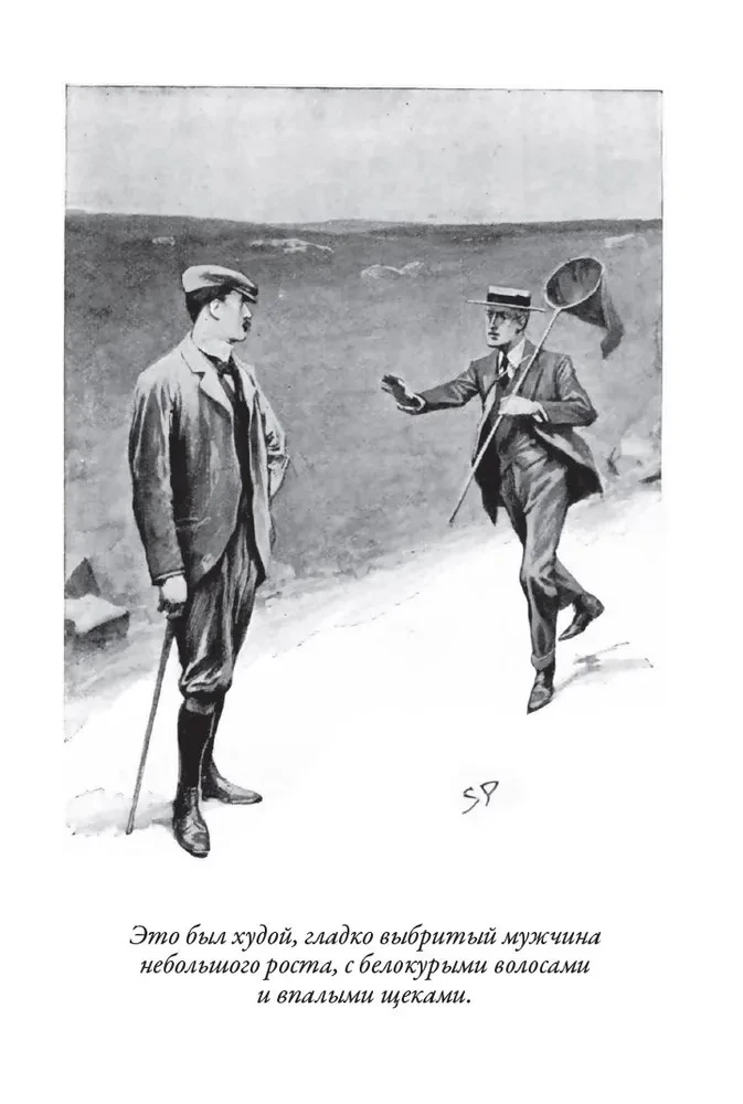 Baskervilu suns