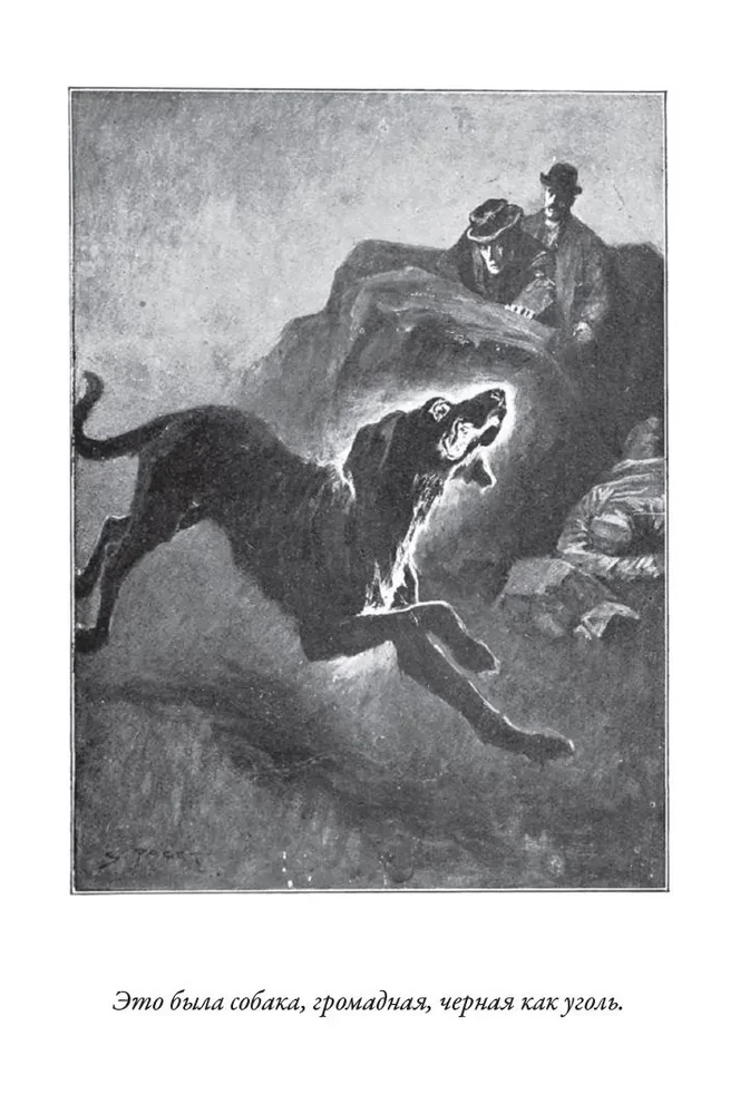 Baskervilu suns