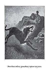 Baskervilu suns