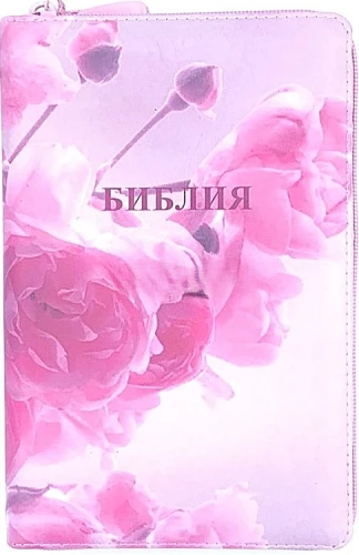 Bībele (kanoniskā, vidēja formāta)