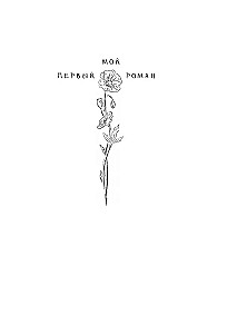 Fleška zvaigznei