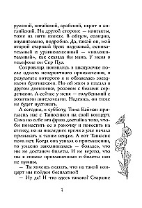 Fleška zvaigznei