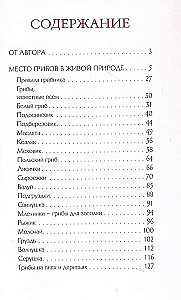 Грибы русского леса. Иллюстрированный определитель