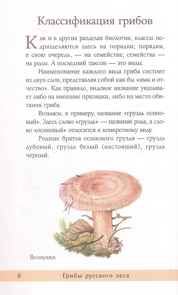 Грибы русского леса. Иллюстрированный определитель