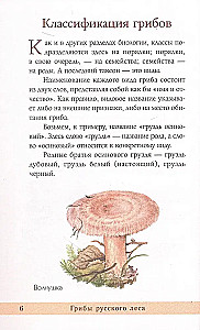 Грибы русского леса. Иллюстрированный определитель