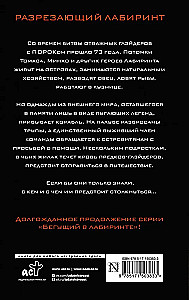 Разрезающий лабиринт