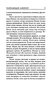 Разрезающий лабиринт