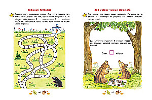 Математика. Учимся решать примеры и задачи: для детей 5-7 лет