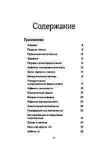 Турецкий с душой. Самоучитель + разговорник