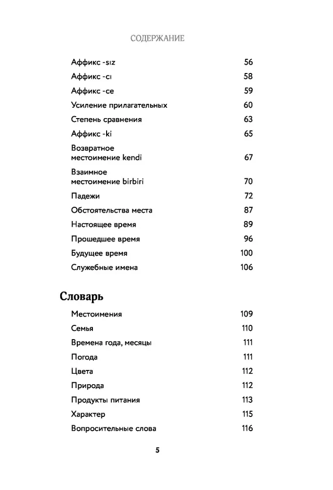 Турецкий с душой. Самоучитель + разговорник