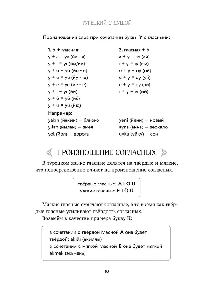 Турецкий с душой. Самоучитель + разговорник