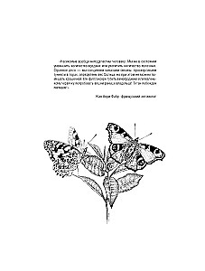 Taureņi un citi kukaiņi. Atlants-krāsojamā grāmata