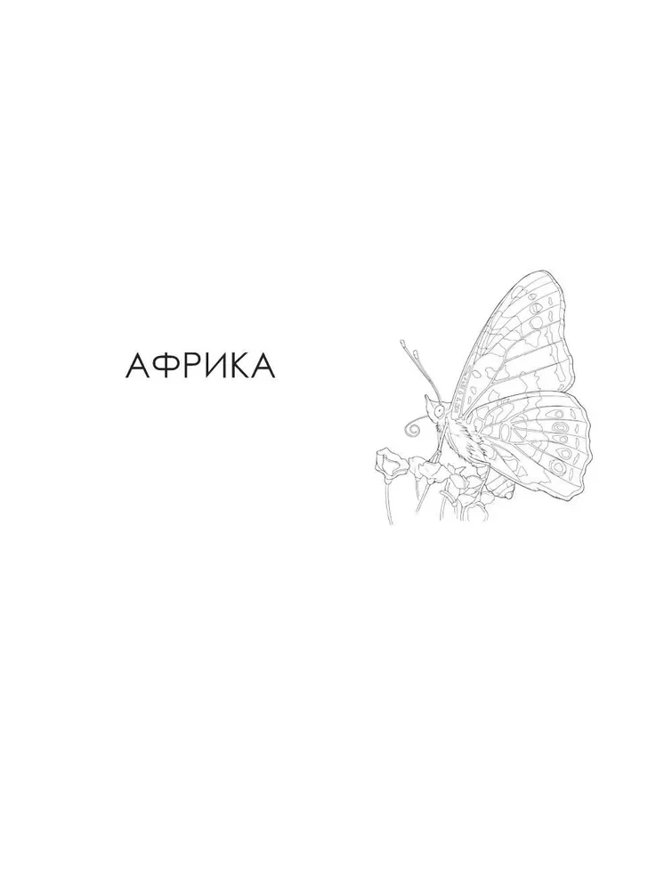 Taureņi un citi kukaiņi. Atlants-krāsojamā grāmata