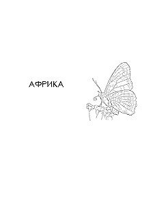 Taureņi un citi kukaiņi. Atlants-krāsojamā grāmata
