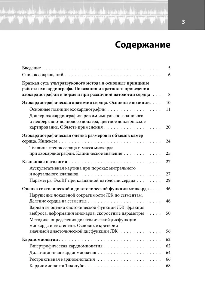 Эхокардиография для начинающих. Суть гемодинамических нарушений, позиции для анализа, определение тяжести порока