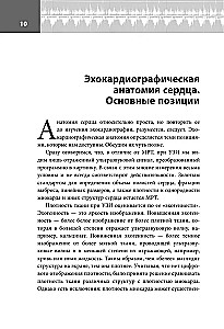 Эхокардиография для начинающих. Суть гемодинамических нарушений, позиции для анализа, определение тяжести порока