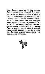 Par dzimteni. Stāsti