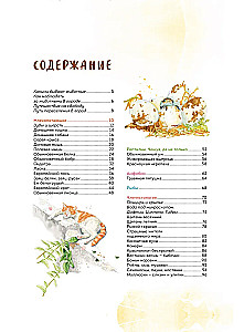 Животные в городе. Где найти и как узнать