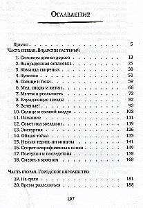 Другой мир. Книга 2. Королева Мальронс