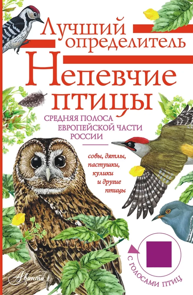 Nedziedātāju putni. Vidējā josla Eiropas daļā Krievijā. Putnu balsu noteicējs