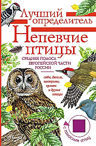 Nedziedātāju putni. Vidējā josla Eiropas daļā Krievijā. Putnu balsu noteicējs