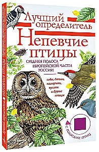 Nedziedātāju putni. Vidējā josla Eiropas daļā Krievijā. Putnu balsu noteicējs