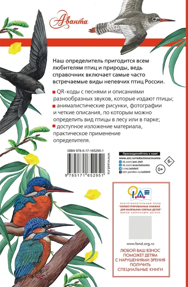 Nedziedātāju putni. Vidējā josla Eiropas daļā Krievijā. Putnu balsu noteicējs