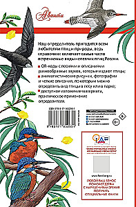 Nedziedātāju putni. Vidējā josla Eiropas daļā Krievijā. Putnu balsu noteicējs