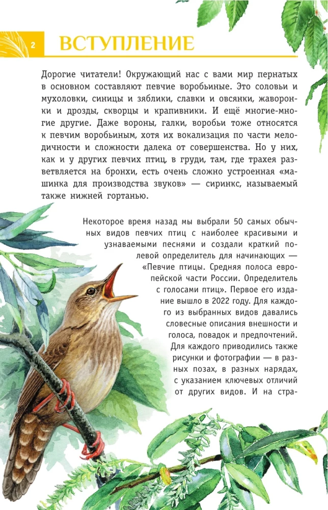Nedziedātāju putni. Vidējā josla Eiropas daļā Krievijā. Putnu balsu noteicējs