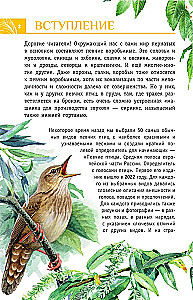 Nedziedātāju putni. Vidējā josla Eiropas daļā Krievijā. Putnu balsu noteicējs