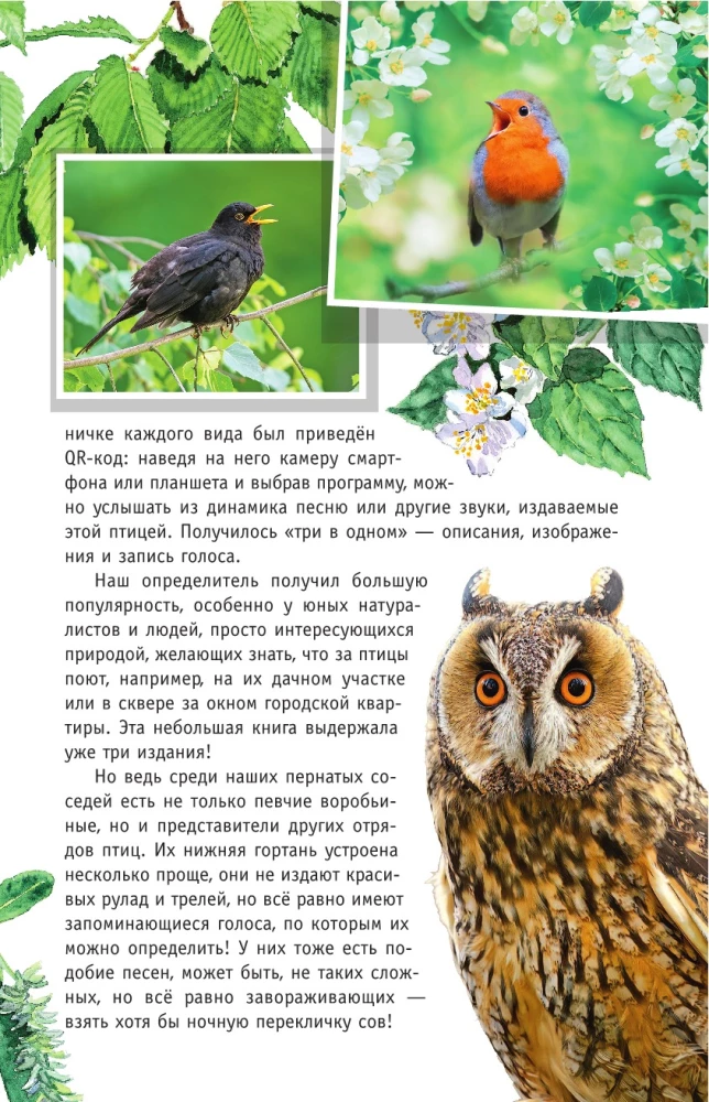 Nedziedātāju putni. Vidējā josla Eiropas daļā Krievijā. Putnu balsu noteicējs