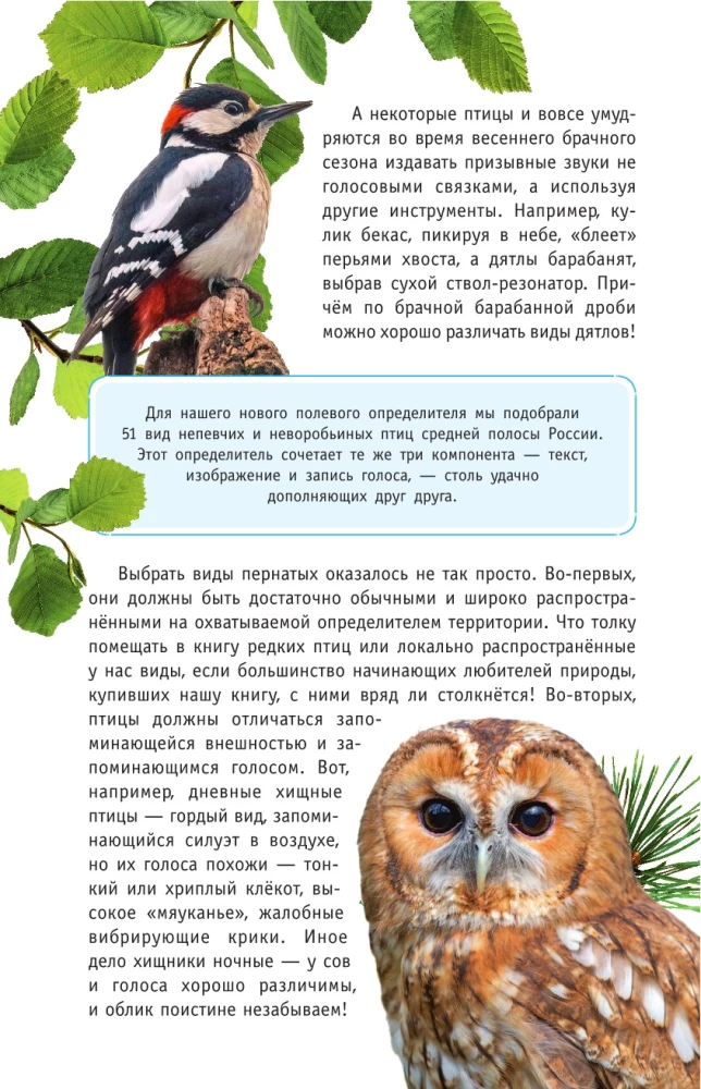 Nedziedātāju putni. Vidējā josla Eiropas daļā Krievijā. Putnu balsu noteicējs
