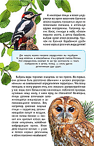 Nedziedātāju putni. Vidējā josla Eiropas daļā Krievijā. Putnu balsu noteicējs